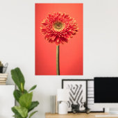 Red Barberton Gerbera Daisy Blume Poster (Heimbüro)