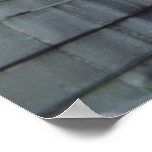 Red Barn Foto Poster (Ecke)