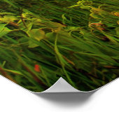 Red Barn Poster (Ecke)