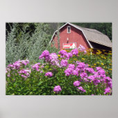 Red Barn Poster (Vorne)