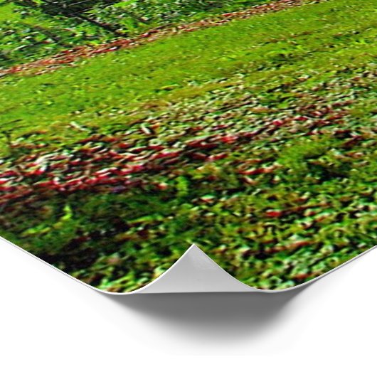 Red Baron am Sonnensommertag Poster (Ecke)