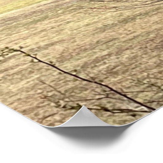 Red Baron on Hill Poster (Ecke)