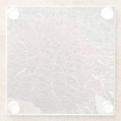 Red Barrel Cactus Desert Pflanze Landschaft Glasuntersetzer (Rückseite)