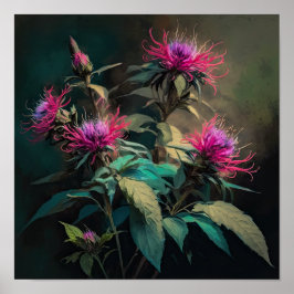 Red Bee Balm Blume Art Print Poster