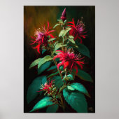 Red Bee Balm Blume Art Print Poster (Vorne)
