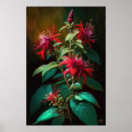 Red Bee Balm Blume Art Print Poster
