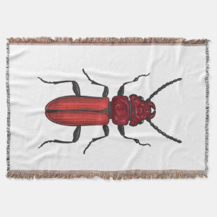 Red beetle decke