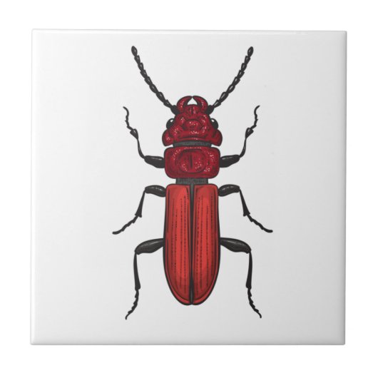 Red beetle fliese (Vorderseite)