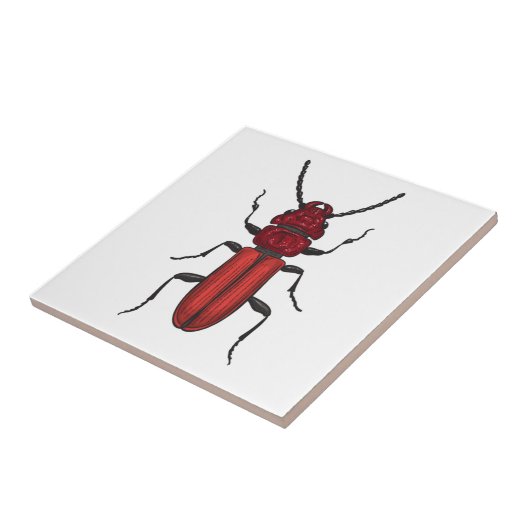 Red beetle fliese (Seite)