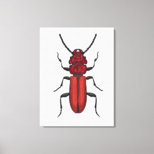 Red beetle leinwanddruck