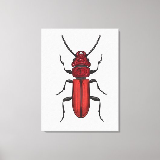 Red beetle leinwanddruck (Vorderseite)