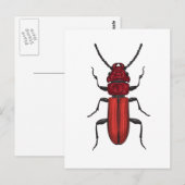 Red beetle postkarte (Vorne/Hinten)