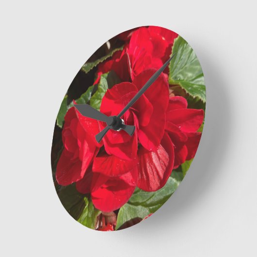 Red Begonia Hiemalis Runde Wanduhr (Winkel)