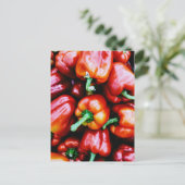 Red Bell Paprikaschoten Postkarte (Stehend Vorderseite)