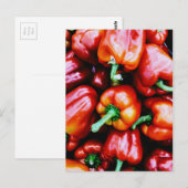 Red Bell Paprikaschoten Postkarte (Vorne/Hinten)