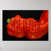 Red Bell Pepper Poster (Vorne)