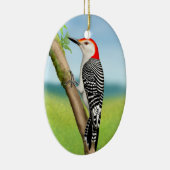 Red Bellied Woodpecker auf Branch Ornament (Rechts)