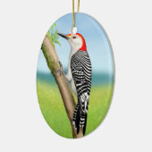 Red Bellied Woodpecker auf Branch Ornament (Links)