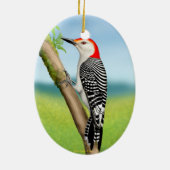 Red Bellied Woodpecker auf Branch Ornament (Hinten)
