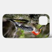 Red Bellied Woodpecker Case-Mate iPhone Hülle (Rückseite (Horizontal))