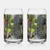 Red Bellied Woodpecker Dosenglas (Links)