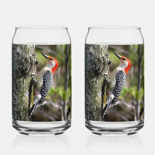 Red Bellied Woodpecker Dosenglas (Rückseite)
