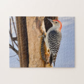 Red-Bellied Woodpecker Jigsaw Puzzle (Horizontal)