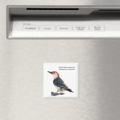 Red-Bellied Woodpecker Magnet (In Situ (Geschirrspüler))