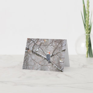 Red Bellied Woodpecker Notecard - Leere Innenseite Karte