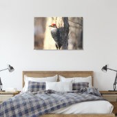 Red Bellied Woodpecker Portrait Leinwanddruck (Insitu (Schlafzimmer))