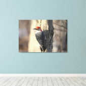 Red Bellied Woodpecker Portrait Leinwanddruck (Insitu (Holzboden))