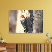 Red Bellied Woodpecker Portrait Leinwanddruck (Insitu (Wohnzimmer))