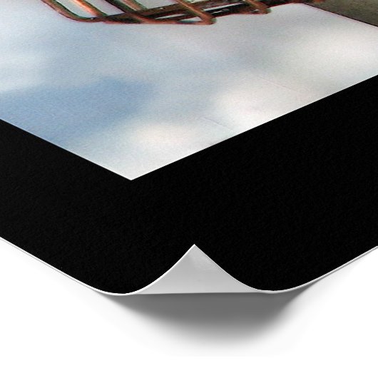 Red-Bellied Woodpecker Poster (Ecke)