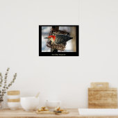Red-Bellied Woodpecker Poster (Küche)