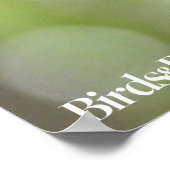 Red-Bellied Woodpecker Poster (Ecke)