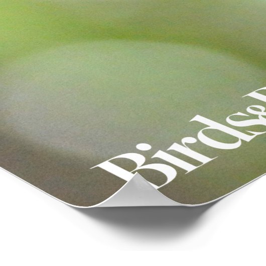 Red-Bellied Woodpecker Poster (Ecke)