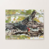 Red Bellied Woodpecker Puzzle (Horizontal)