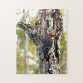 Red Bellied Woodpecker Puzzle (Vertikal)