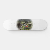 Red Bellied Woodpecker Skateboard (Horizontal)