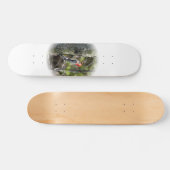 Red Bellied Woodpecker Skateboard (Horizontal)