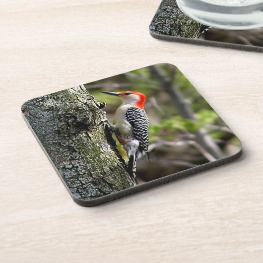 Red Bellied Woodpecker Square Untersetzer (Linke Seite)