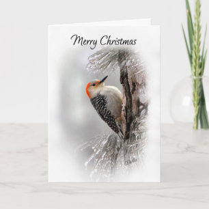 Red-Bellied Woodpecker Weihnachtskarte Karte
