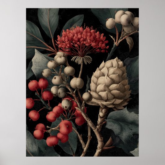 Red Berries and Exotic Seed Pods on Black Poster (Vorne)
