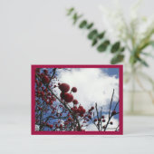 Red Berries, Blue Sky Postkarte (Stehend Vorderseite)
