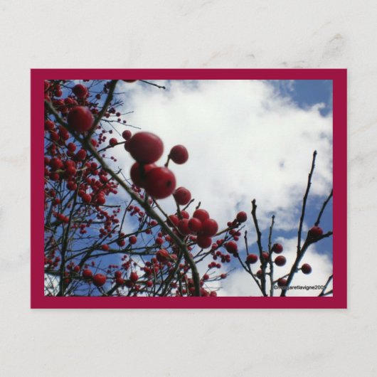 Red Berries, Blue Sky Postkarte (Vorderseite)