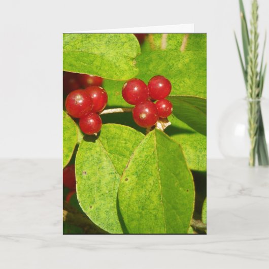 Red Berries Feiertagskarte (Vorderseite)