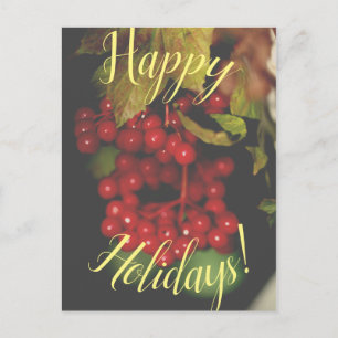Red Berries Happy Holidays Postcard Feiertagspostkarte