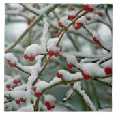 Red Berries im Winter Snow iPad Pro Cover Fliese (Vorderseite)
