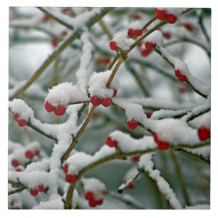 Red Berries im Winter Snow iPad Pro Cover Fliese