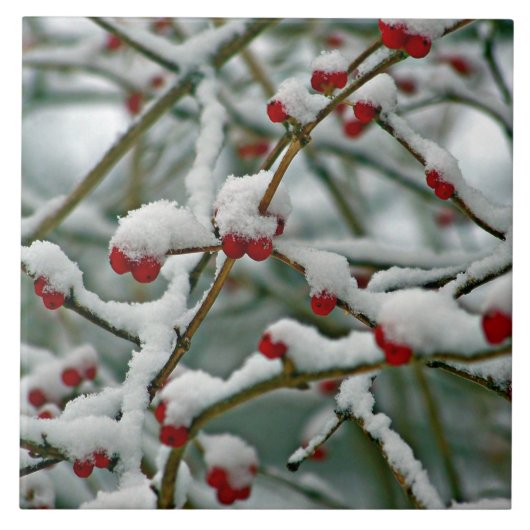 Red Berries im Winter Snow iPad Pro Cover Fliese (Vorderseite)